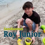 Roy Junior – Zandkasteel