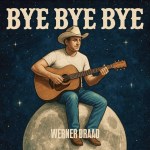 Werner Draad – Bye Bye Bye