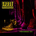 Groot Onderhoud – Verkeerde rij